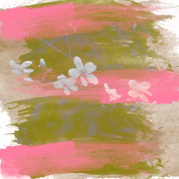Blossom