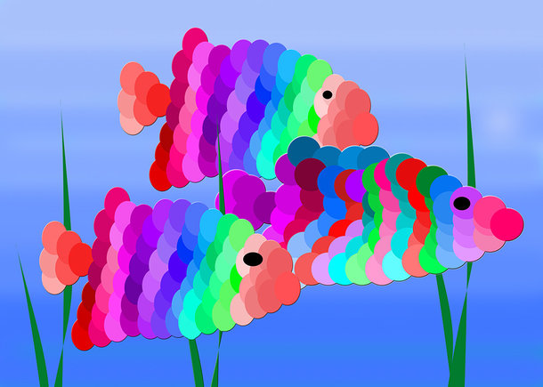 Regenbogenfische