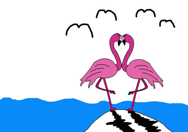 Flammingo