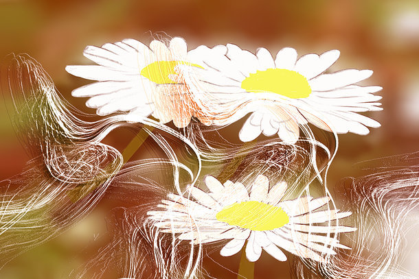 BlumenHaare