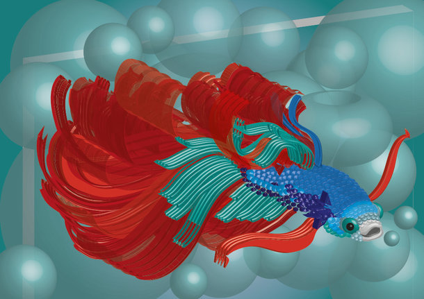 Betta splendens 3DObjekte