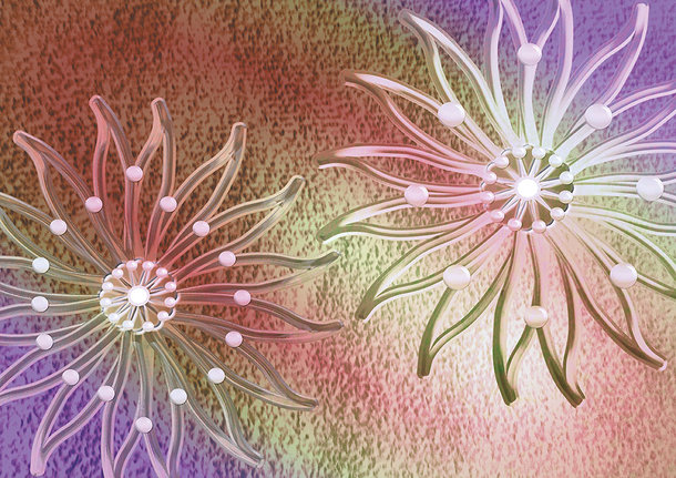 Pure Harmonie