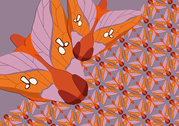 Orange