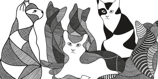 Catz