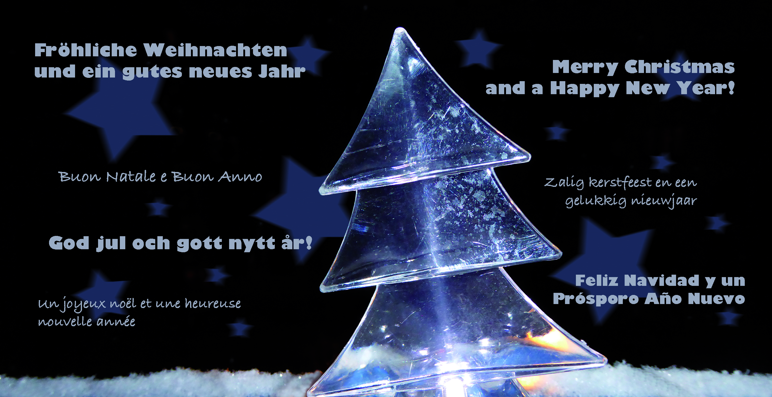 Weihnachtskarte "Baum im Hintergrund schwarz"
