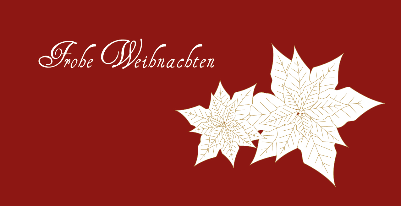 Weihnachtskarte "Weißer Weihnachtsstern auf rot"