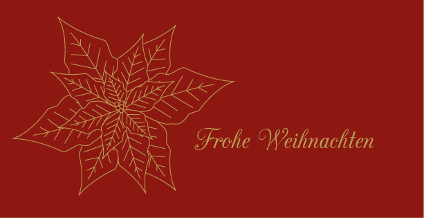 Weihnachtskarte "Weihnachtsstern in Rot"