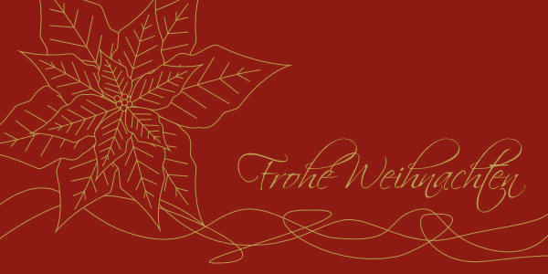 Weihnachtskarte "Weihnachtsstern mit Goldlinien"