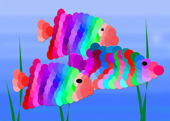 Regenbogenfische